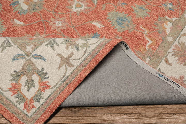 Celeste Rugs  Multi Sizes Orange Hand Hooked Transitional Agra Wool Oriental Area Rug