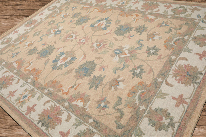 Celeste Rugs Multi Sizes Pale Peach Hand Hooked Transitional Agra Wool Oriental Area Rug