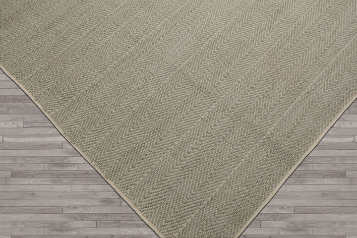 Multi Size Sage Ivory Color Hand Loomed Flatweave Wool Modern Oriental Rug