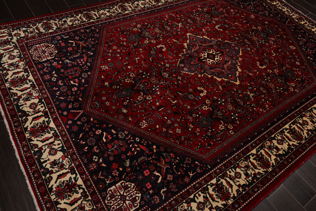6x9 Red, Navy, Ivory Color Hand Knotted Joshican Abaden Wool Traditional Oriental Rug