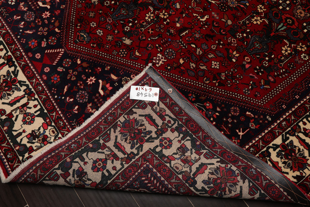 6x9 Red, Navy, Ivory Color Hand Knotted Joshican Abaden Wool Traditional Oriental Rug