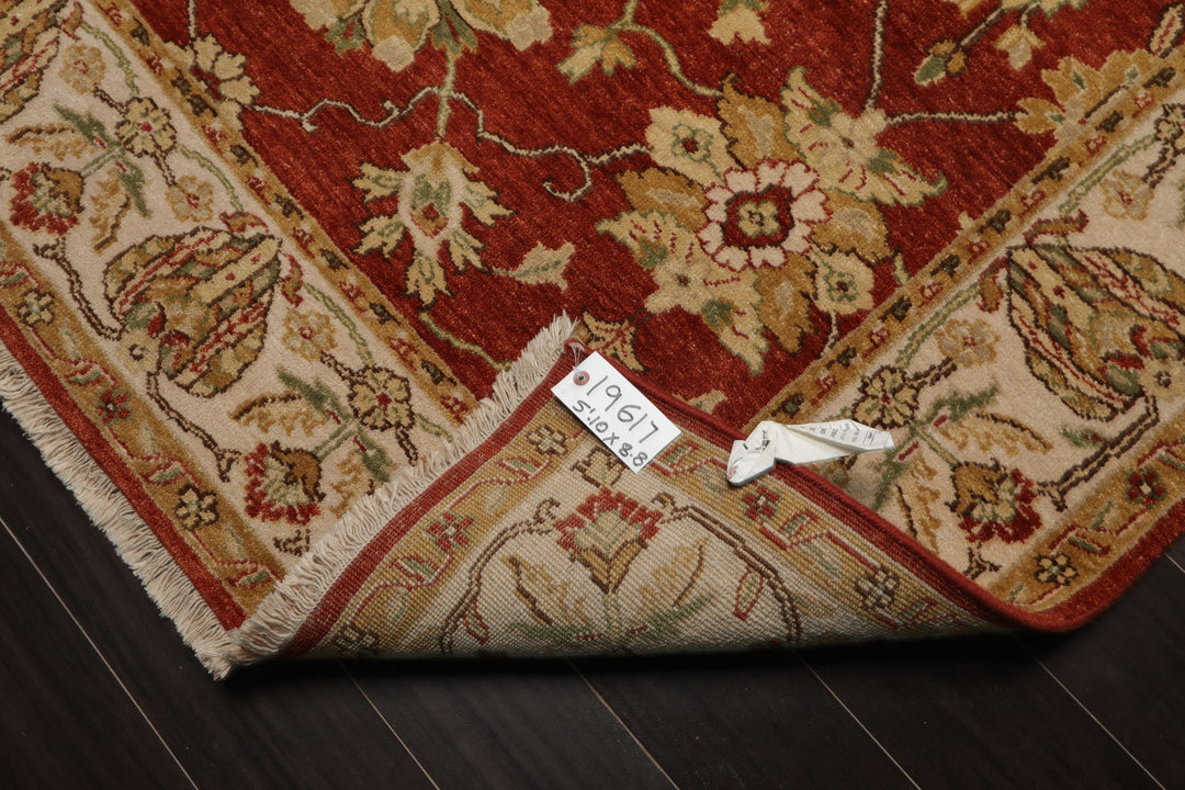 6x9 Burnt Orange, Ivory, Light Gold Color Hand Knotted Agra New Zealand Wool Traditional Oriental Rug