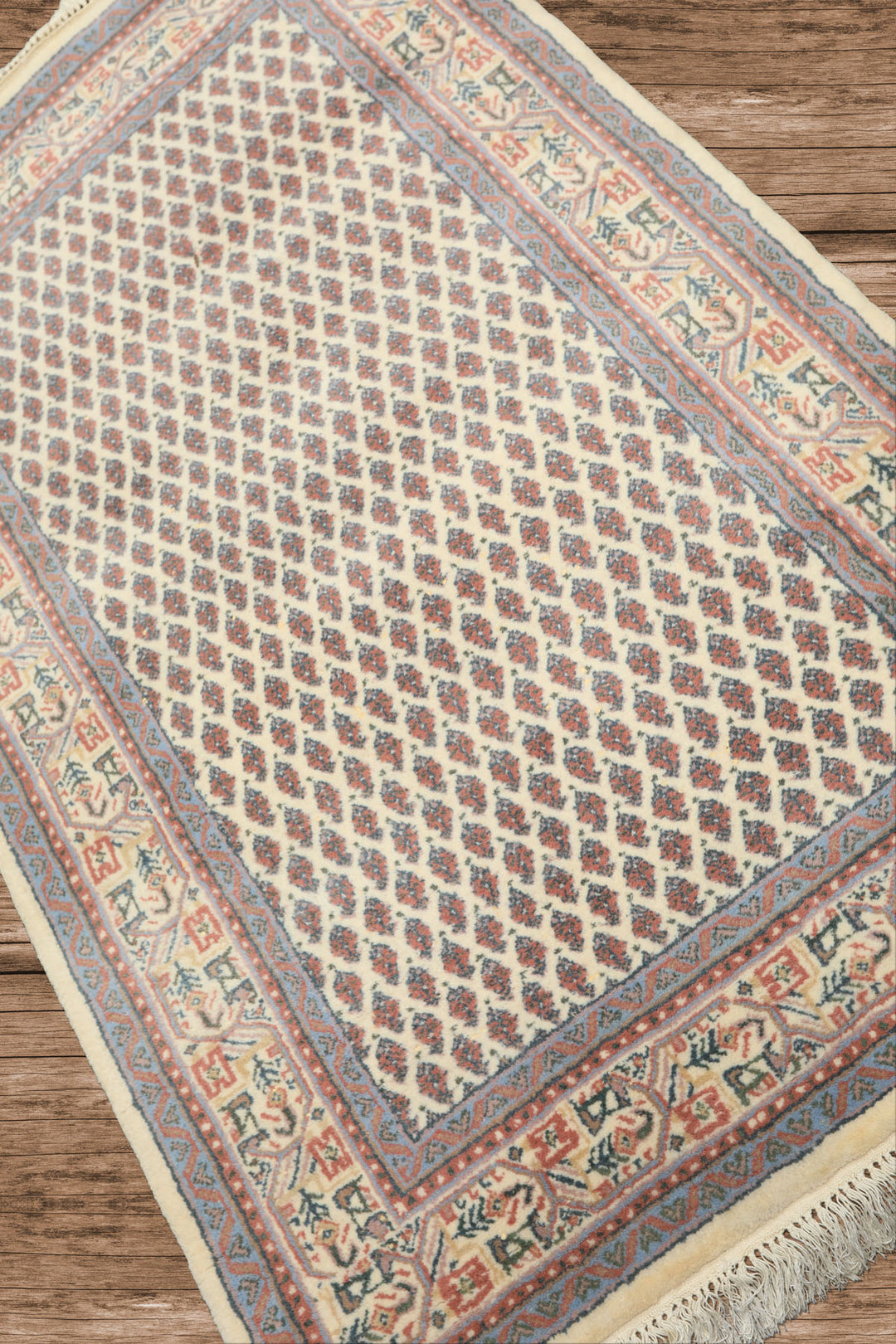 3x5 Ivory, Rose, Blue Color Hand Knotted Boteh Wool Traditional Oriental Rug