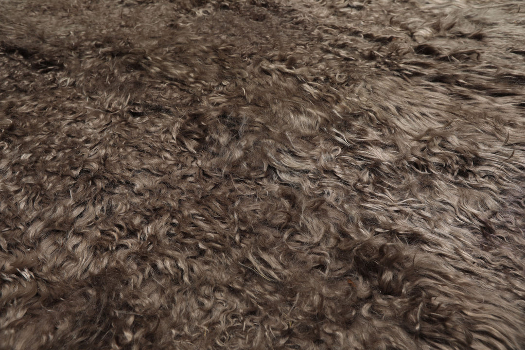 Square Brown, , Color Machine Made Shag Polyster Contemporary Oriental Rug