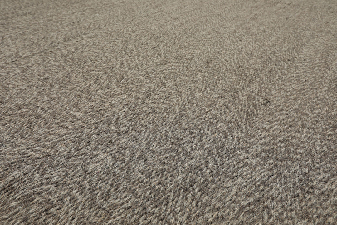 8x10 Taupe, Gray, Color Hand Woven Flatweave Wool Modern & Contemporary Oriental Rug