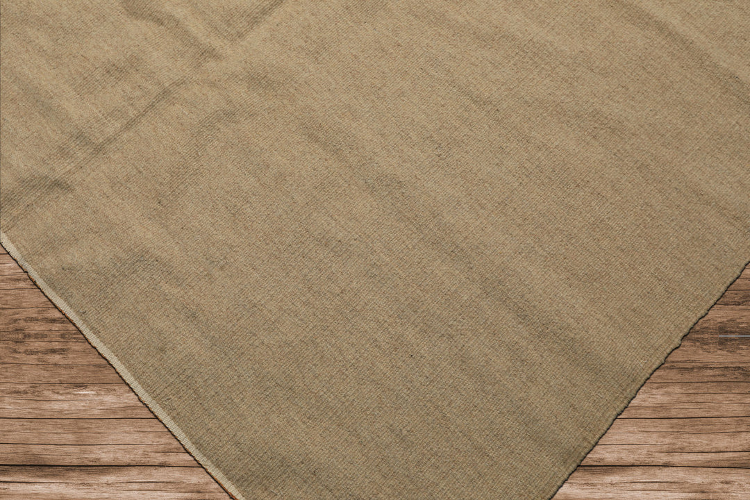 9x12 Beige, , Color Hand Woven Superfine Kilim Wool Modern Oriental Rug