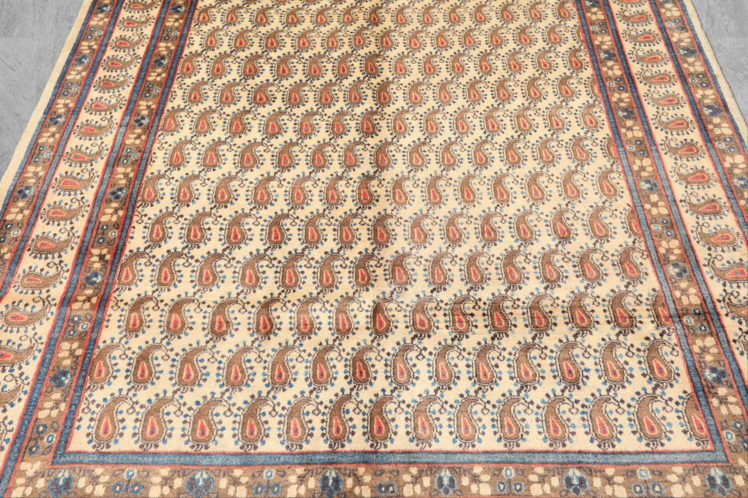 7x10 Beige, Camel, Blue Color Hand Knotted Birjand Wool Traditional Oriental Rug