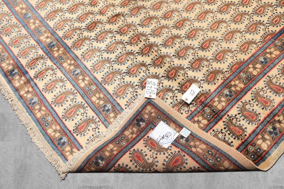 7x10 Beige, Camel, Blue Color Hand Knotted Birjand Wool Traditional Oriental Rug