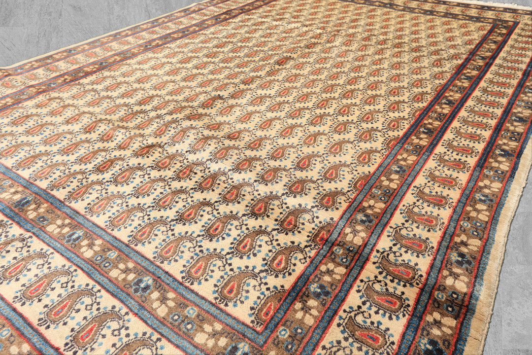 7x10 Beige, Camel, Blue Color Hand Knotted Birjand Wool Traditional Oriental Rug