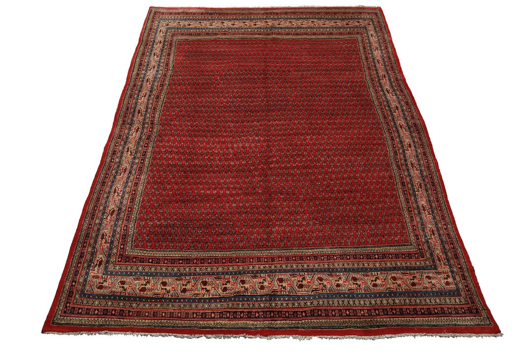 7x11 Tomato Red, Beige, Aqua Color Hand Knotted Persian Boteh Wool Traditional Oriental Rug