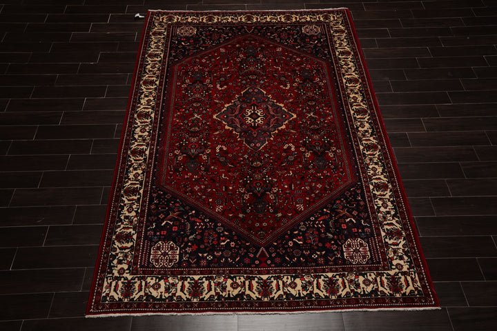 6x9 Red, Navy, Ivory Color Hand Knotted Joshican Abaden Wool Traditional Oriental Rug