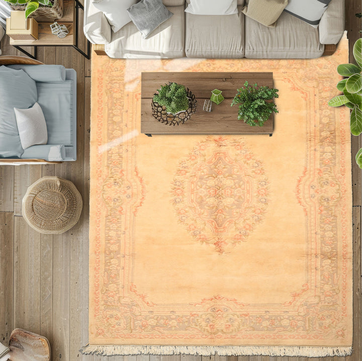 6x9 Tan, Blush, Taupe Color Hand Knotted Indo Kerman Wool Traditional Oriental Rug